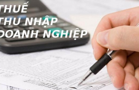 Chính phủ hướng dẫn giảm thuế TNDN và GTGT theo các Luật sửa đổi, bổ sung có hiệu lực từ 1-7-2013